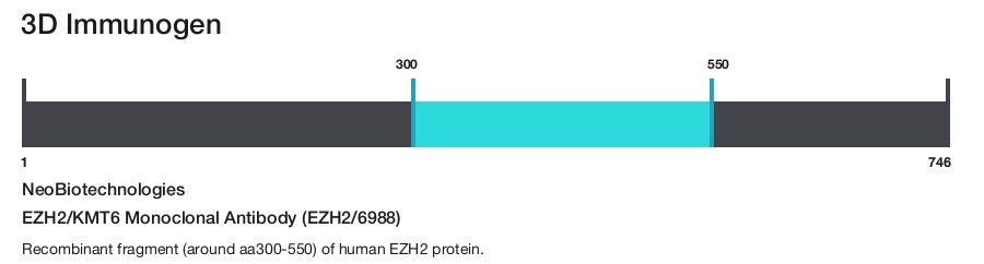 EZH2/KMT6 Monoclonal Antibody (EZH2/6988)