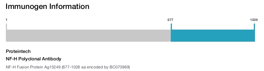 NF-H Polyclonal Antibody