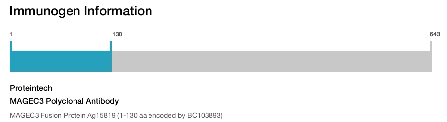 MAGEC3 Polyclonal Antibody