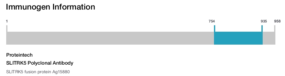 SLITRK5 Polyclonal Antibody