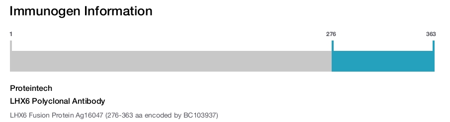 LHX6 Polyclonal Antibody