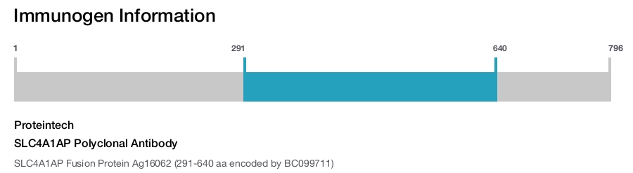 SLC4A1AP Polyclonal Antibody
