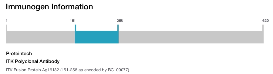 ITK Polyclonal Antibody