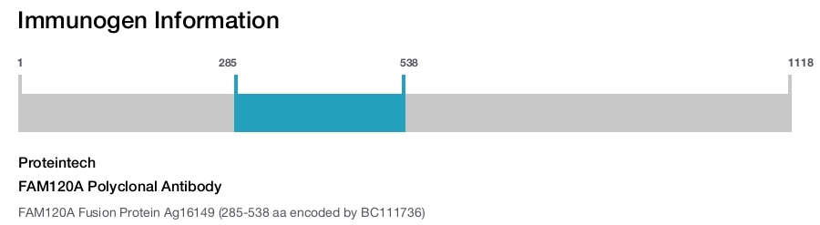FAM120A Polyclonal Antibody