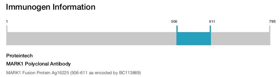 MARK1 Polyclonal Antibody