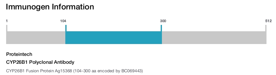 CYP26B1 Polyclonal Antibody