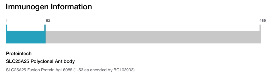 SLC25A25 Polyclonal Antibody