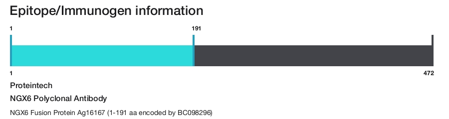 NGX6 Polyclonal Antibody