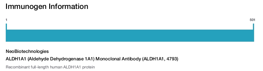 ALDH1A1 (Aldehyde Dehydrogenase 1A1) Monoclonal Antibody (ALDH1A1, 4793)