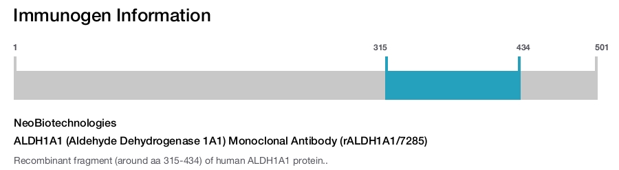 ALDH1A1 (Aldehyde Dehydrogenase 1A1) Monoclonal Antibody (rALDH1A1/7285)