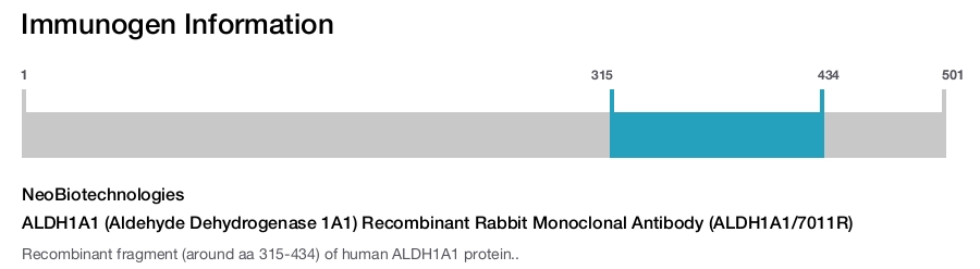 ALDH1A1 (Aldehyde Dehydrogenase 1A1) Recombinant Rabbit Monoclonal Antibody (ALDH1A1/7011R)