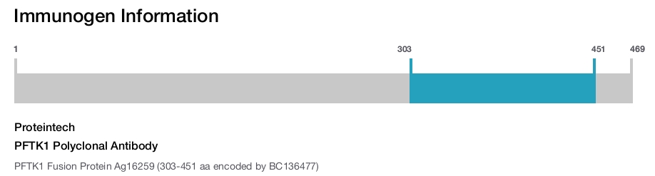 PFTK1 Polyclonal Antibody