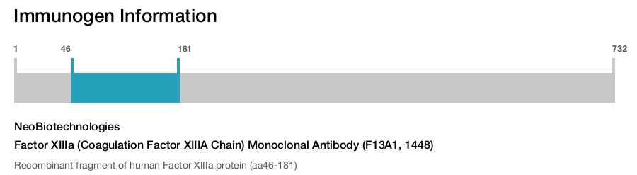 Factor XIIIa (Coagulation Factor XIIIA Chain) Monoclonal Antibody (F13A1, 1448)