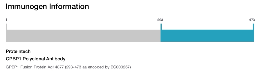 GPBP1 Polyclonal Antibody