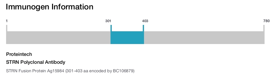 STRN Polyclonal Antibody