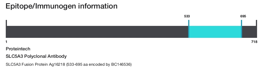 SLC5A3 Polyclonal Antibody