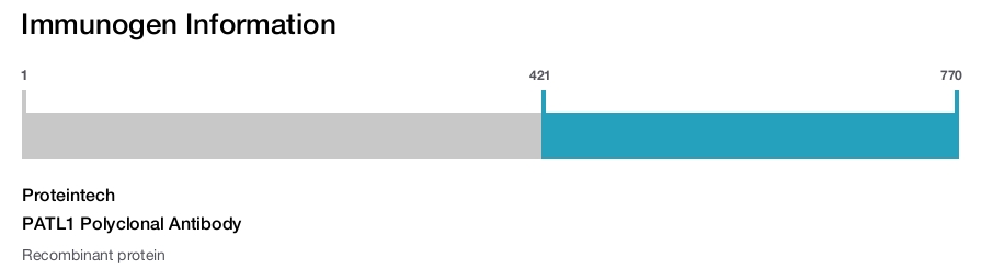 PATL1 Polyclonal Antibody