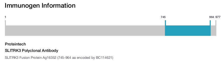 SLITRK3 Polyclonal Antibody