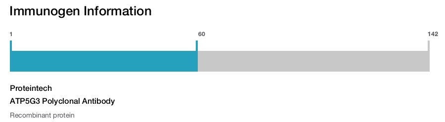 ATP5G3 Polyclonal Antibody