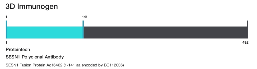 SESN1 Polyclonal Antibody