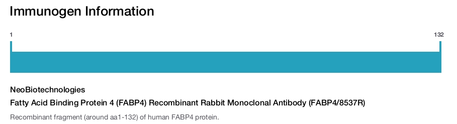Fatty Acid Binding Protein 4 (FABP4) Recombinant Rabbit Monoclonal Antibody (FABP4/8537R)