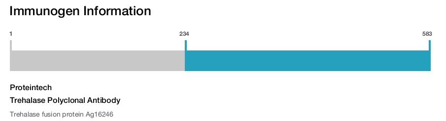 Trehalase Polyclonal Antibody