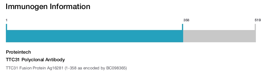 TTC31 Polyclonal Antibody