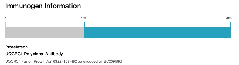 UQCRC1 Polyclonal Antibody