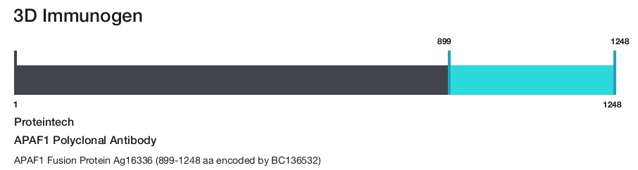 APAF1 Polyclonal Antibody