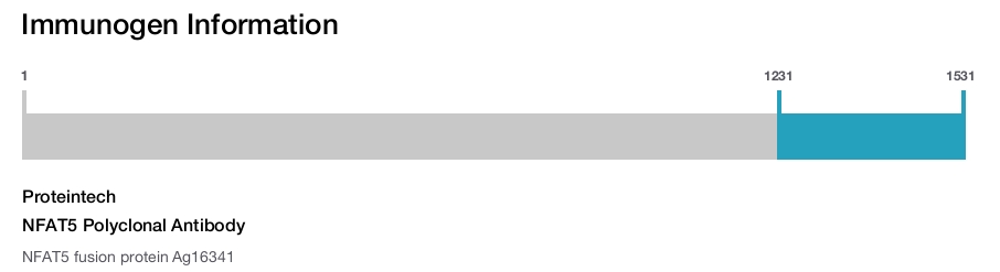 NFAT5 Polyclonal Antibody