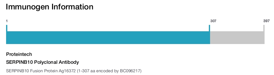 SERPINB10 Polyclonal Antibody