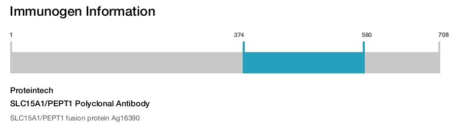 SLC15A1/PEPT1 Polyclonal Antibody