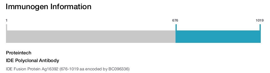 IDE Polyclonal Antibody