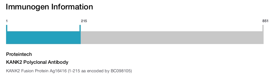 KANK2 Polyclonal Antibody