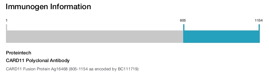 CARD11 Polyclonal Antibody