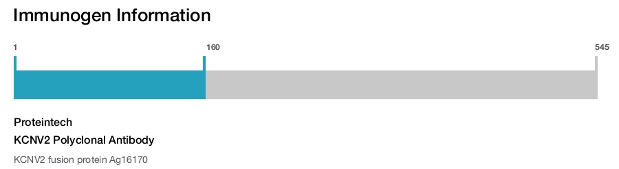 KCNV2 Polyclonal Antibody