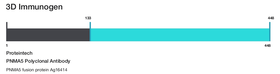 PNMA5 Polyclonal Antibody