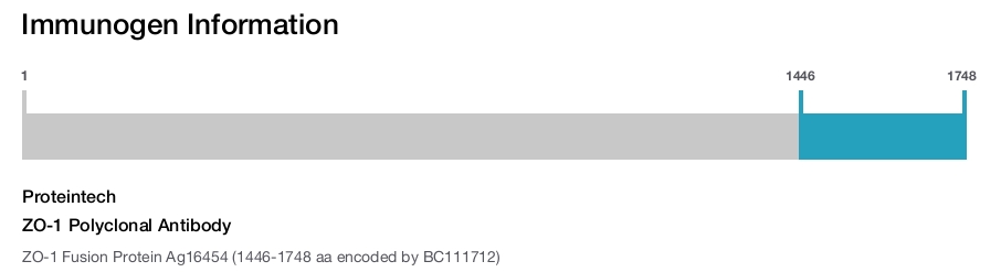 ZO-1 Polyclonal Antibody