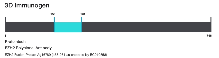 EZH2 Polyclonal Antibody
