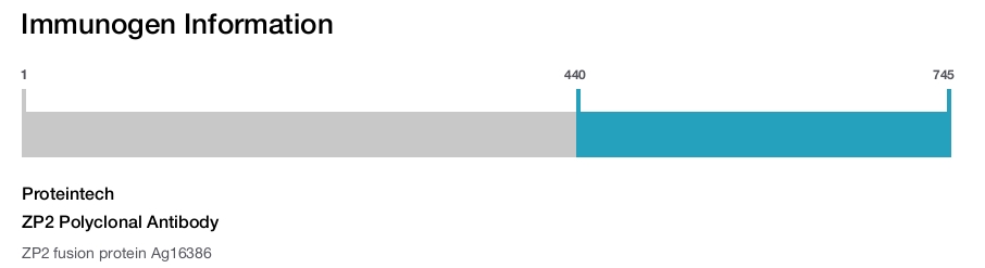 ZP2 Polyclonal Antibody