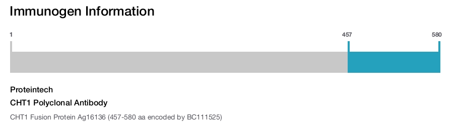 CHT1 Polyclonal Antibody