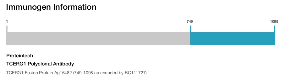 TCERG1 Polyclonal Antibody