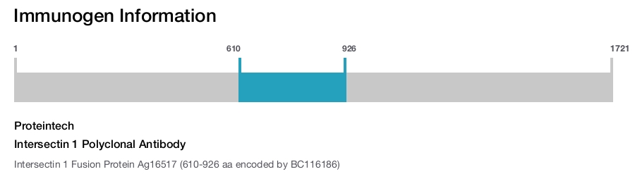 Intersectin 1 Polyclonal Antibody
