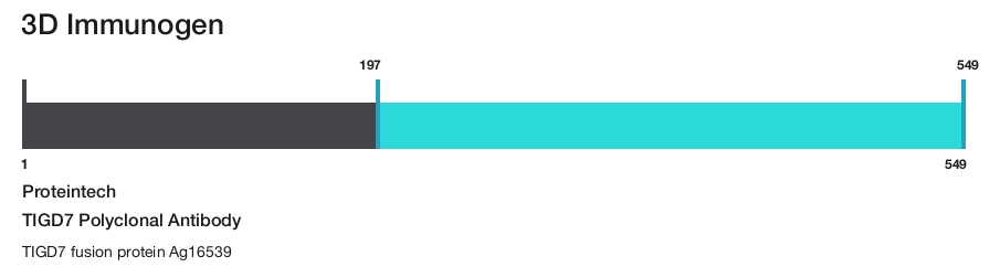 TIGD7 Polyclonal Antibody