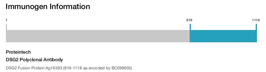 DSG2 Polyclonal Antibody