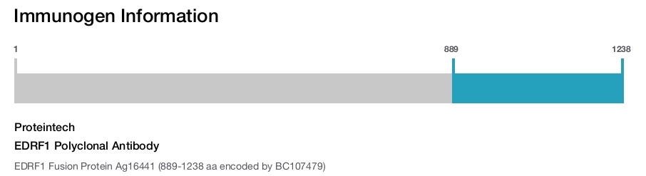 EDRF1 Polyclonal Antibody