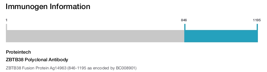 ZBTB38 Polyclonal Antibody