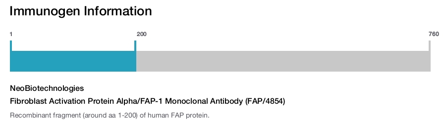 Fibroblast Activation Protein Alpha/FAP-1 Monoclonal Antibody (FAP/4854)