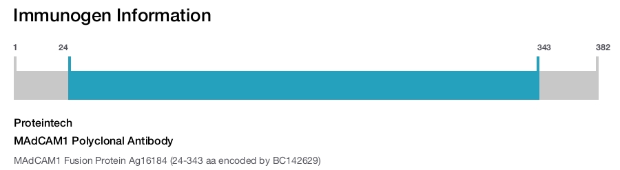 MAdCAM1 Polyclonal Antibody