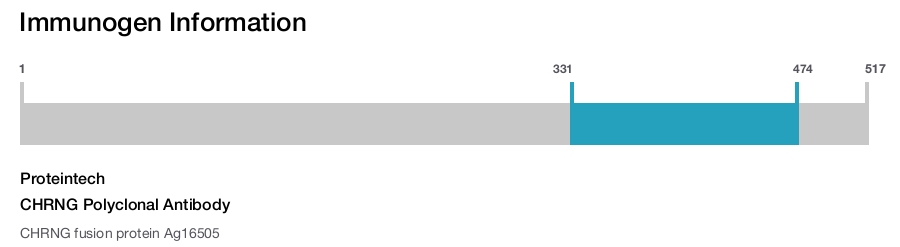CHRNG Polyclonal Antibody